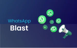WhatsApp Blast 3